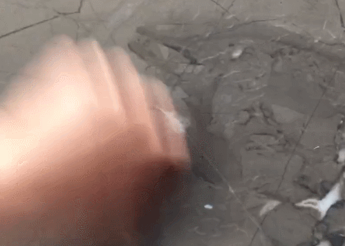 微信图片_20200429104803.gif