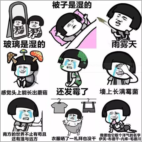 606bbf0ae4165.png